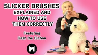 Slicker brushes explained and how to use them correctly [upl. by Lekzehcey]