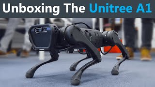 Unboxing a LowCost Robot Dog [upl. by Humfrey556]