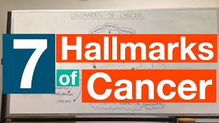 Hallmarks of Cancer  Pathophysiology [upl. by Arlynne]