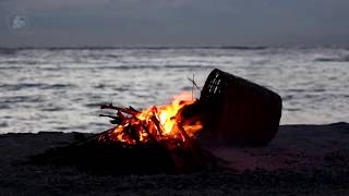 🔥 Campfire Bonfire on the Beach with the Sound of Relaxing Ocean Waves amp Crackling Burning Firewood [upl. by Anazus]