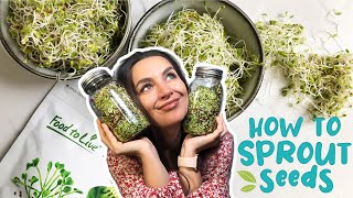 HOW TO SPROUT SEEDS  EASY GUIDE  Foolproof Method [upl. by Bashemeth440]