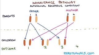 Laws of Genetics  Lesson 5  Dont Memorise [upl. by Carri344]