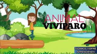 ANIMALES VIVIPAROS  CUALES SON LOS ANIMALES VIVIPAROS [upl. by Sucramaj]