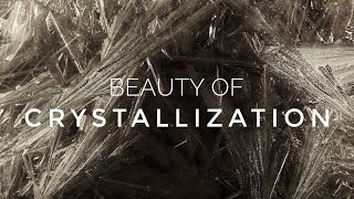 Beauty of Crystallization  A Time Lapse Video about Crystal Growth [upl. by Chandal540]