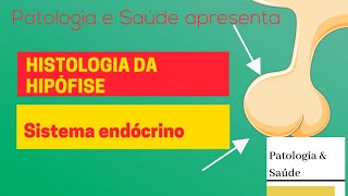 Histologia do Sistema Endócrino Hipófise [upl. by Itra]