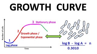 Growth curve [upl. by Analrahc]