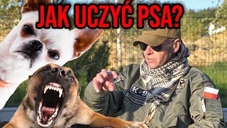 JAK ODUCZYĆ PSA AGRESJI [upl. by Gillette962]