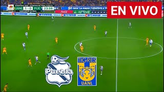 🔴 Puebla vs Tigres EN VIVO Liga MX 2024 [upl. by Eanehs]