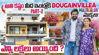 multicolor Bougainvillea Plants Cost  Adi Reddy  Bougainvillea Plants In New House  Ishmart Jodi [upl. by Mears514]