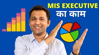 MIS Executive Kya Hota Hai Work Details Roles Salary And Career Info [upl. by Rases875]