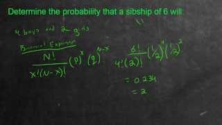 Genetics Binomial Expansion [upl. by Oinesra]