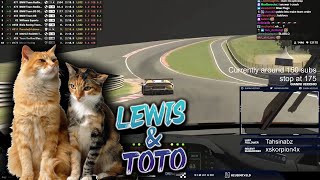 Max Verstappen Calls His Cats Lewis And Toto [upl. by Ennahs35]