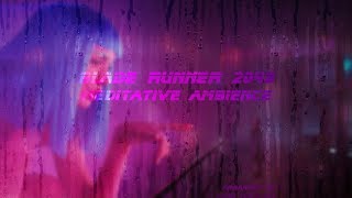 Blade Runner 2049 Meditative Ambience [upl. by Goraud326]