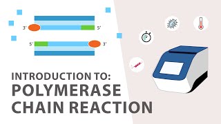 1 PCR Polymerase Chain Reaction Tutorial  An Introduction [upl. by Ailil133]