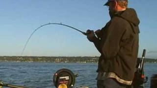 Puget Sound King Salmon Fishing [upl. by Puglia334]