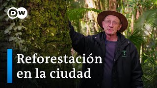 ¿Pueden los árboles paliar la crisis climática  DW Documental [upl. by Inahpets386]