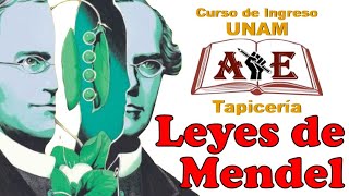 Leyes de Mendel Biología UNAM [upl. by Ritch]