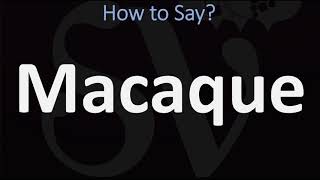 How to Pronounce Macaque CORRECTLY [upl. by Regnij]