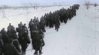 Polyushka Polye  Red Army Battle of Stalingrad [upl. by Eisserc46]