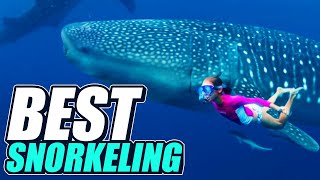 10 BEST SNORKELING DESTINATIONS in the World [upl. by Mindy]