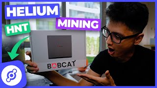 Helium Mining HNT Bobcat Miner 300 Unboxing amp How to Setup [upl. by Allred]