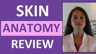 Anatomy amp Physiology Integumentary Skin System Overview [upl. by Eiramac]