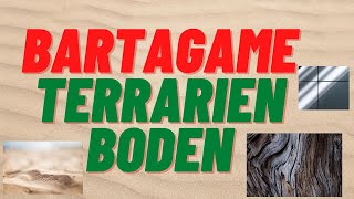 Bartagame Terrarium RICHTIGEN Bodengrund  Substrat wählen amp Terrarienboden bauen [upl. by Guidotti966]