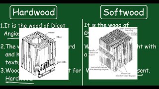 Hardwood vs Softwood Quick Difference and Comparisons [upl. by Zorana]