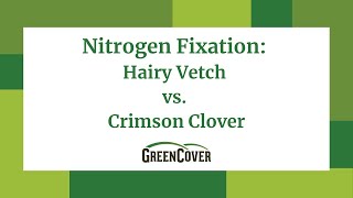 FAQ  Nitrogen Fixation Hairy Vetch VS Crimson Clover [upl. by Fox]