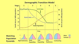 Why Populations Grow and the Demographic Transition Model [upl. by Sams]