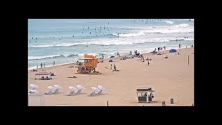 Miami Beach South Beach Webcam [upl. by Ulrich]