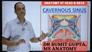 CAVERNOUS SINUS  Boundaries  Contents  Thrombosis [upl. by Holtz556]