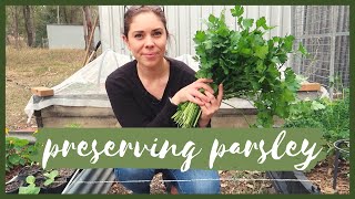 How to Preserve Parsley  Easy Method to Freezing Fresh Herbs [upl. by Anol]