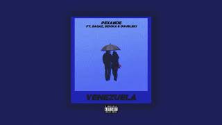 Pexande  Venezuela ft Sagaz Sidoka Double Ki [upl. by Olin]