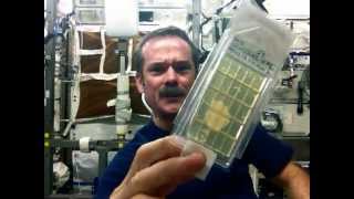 Hadfield demonstrates Microbial Air Sampling on the ISS [upl. by Harbot147]