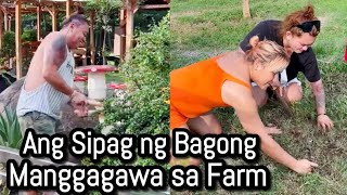 Ang sipag ng Bagong Manggagawa sa Farm [upl. by Oringa]