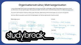 Organisationsstruktur Matrixorganisation  Unternehmensführung [upl. by Ahsenal803]