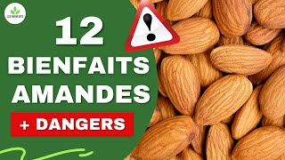 AMANDES LES BIENFAITS ET DANGERS CACHÉS POUR LA SANTÉ [upl. by Idyak37]