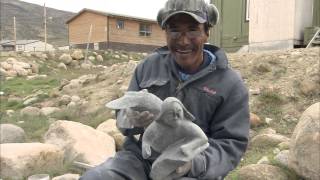 Welcome To Nunavut [upl. by Eveam530]