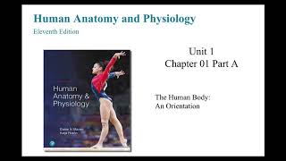 Anatomy and Physiology Chapter 1 The Human Body An Orientation Part A [upl. by Garrison]