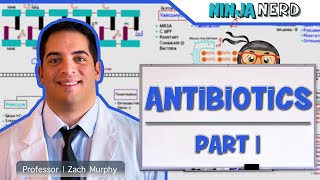 Antibiotics Cell Wall Synthesis Inhibitors Part 1 [upl. by Esertak371]