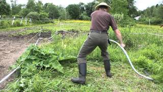 A modern Seymour Midwest Tools scythe at work [upl. by Corinna]