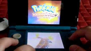 How to delete your save file on Pokemon Heart Gold Soul Silver READ DESCRIPTION [upl. by Xymenes321]