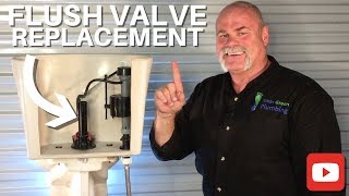 How To Replace A Toilet Flush Valve  DIY Plumbing [upl. by Thorpe]