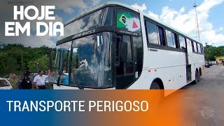 Conheça os perigos do transporte clandestino no Brasil [upl. by Inele]