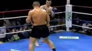 K1  Jerome Le Banner vs Mirco Cro Cop [upl. by Gerianne]