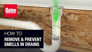 How to Remove and Prevent Smells in Drains [upl. by Let713]