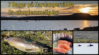 Hardangervidda  Fisketur  Sant [upl. by Norreht]