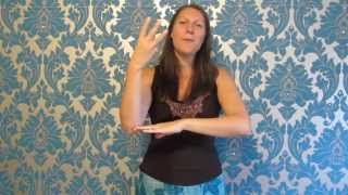 Rainbow song  British Sign Language BSL and singing [upl. by Sivaj619]