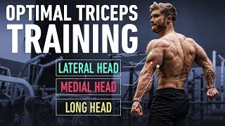 How To Build Huge Triceps with Optimal Training Technique [upl. by Biggs]